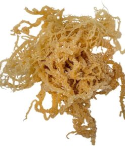 D:\Company's\MEKONG RIVER\THIET KE\TMDT\Full Minisite and Product Posting Data Collection\Full Minisite and Product Posting Data Collection\10.Product application image\EXPORT PRODUCTS\SEAWEED VIETNAM\2 (1). dried sea moss\Rong sụn muối
