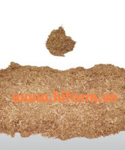 Sugercane Bagasse