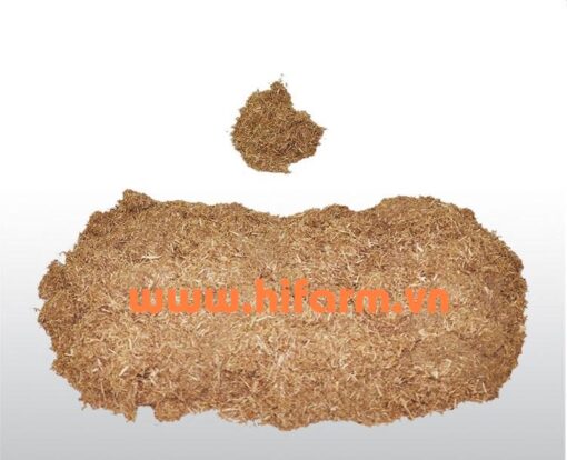 Sugercane Bagasse